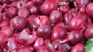 onion-export-duty-removed-indian-farmers-benefit
