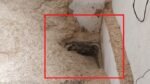 atm-embezzlement-5-crore-buried-cash-recovery-baghpat-up