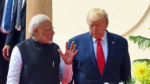 india-us-trade-deal-negotiations-dairy-dispute-july-2025