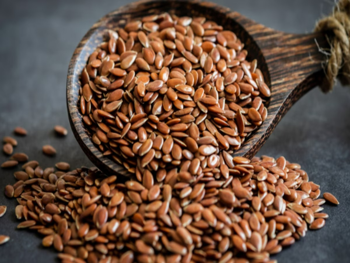 flaxseed-lahsun-mirchi-chatni-recipe