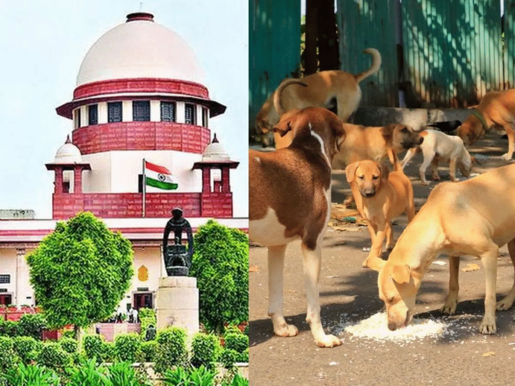 supreme-court-order-stray-dogs-delhi-ncr-sterilization-shelter