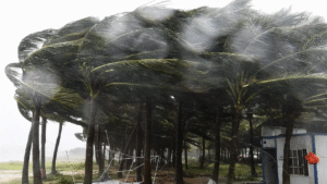 tropical-storm-tapah-china-hongkong-impact
