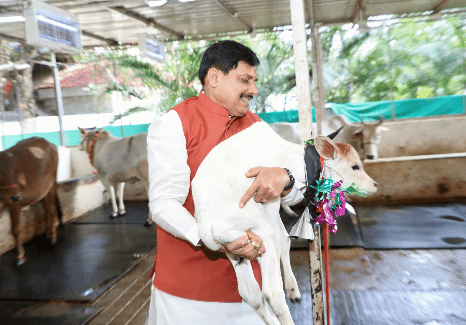 cm-mohan-yadav-names-calf-kamla-bhopal