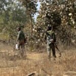 bijapur-naxalites-killed-two-villagers-search-operation-launched
