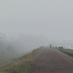 fog-rain-alert-in-madhya-pradesh-bhopal-gwalior-ratlam-weather-update